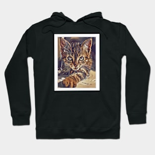 graphic cat Hoodie